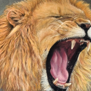 King of the Jungle Original Print