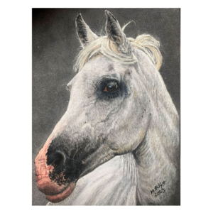 Horse Signed Limited Edition Print